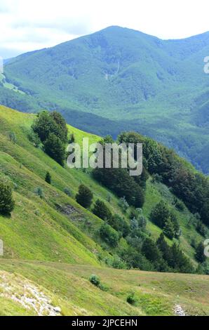 Parco Nazionale dell'Appennino Tosco-Emiliano, ein üppig bewaldeter und bergiger Nationalpark in Norditalien Stockfoto