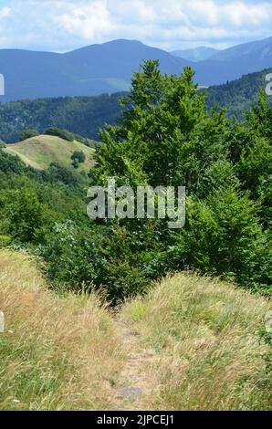 Parco Nazionale dell'Appennino Tosco-Emiliano, ein üppig bewaldeter und bergiger Nationalpark in Norditalien Stockfoto