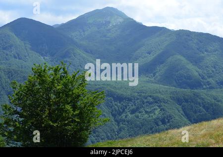 Parco Nazionale dell'Appennino Tosco-Emiliano, ein üppig bewaldeter und bergiger Nationalpark in Norditalien Stockfoto