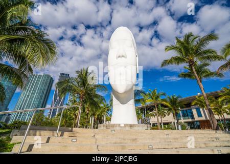 Kunstinstallation im Perez Art Museum, Downtown Miami Miami City, South Florida, USA Stockfoto