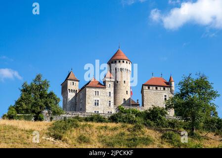 Schloss Montrottier in Lovagny/Französische Alpen Stockfoto