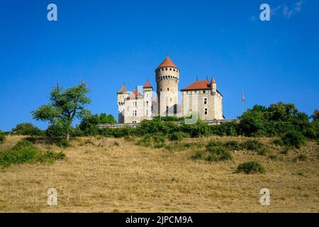 Schloss Montrottier in Lovagny/Französische Alpen Stockfoto