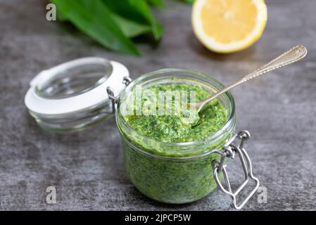 Frisch zubereitetes Pesto aus wildem Knoblauch. Stockfoto