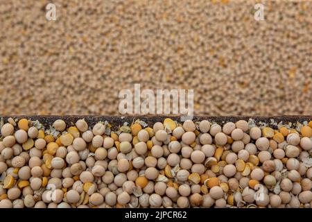 Importierte Lebensmittel Getreide Kichererbsen Stiefel Stockfoto