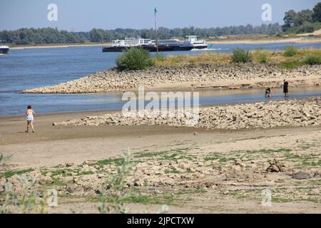 Fluss waal in der Nähe von nijmegen Stockfoto