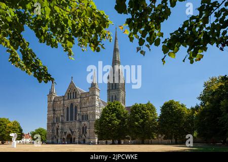 Sommermittags in der Salisbury Cathedral, Wiltshire, England. Stockfoto