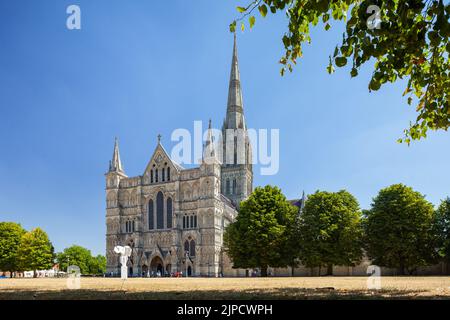 Sommermittags in der Salisbury Cathedral, Wiltshire, England. Stockfoto