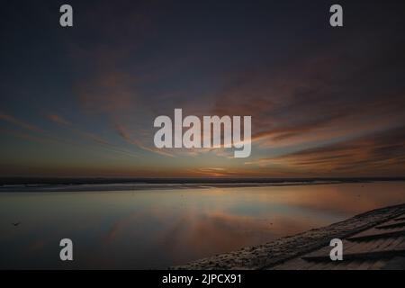 les Molières de la baie de Somme, lilas de Mer, Mooutons Stockfoto