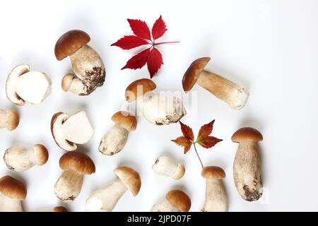 Boletus edulis mushroom (englisch: Penny Bun, Steinpilze, King Bolete oder cep) isoliert auf weißem Hintergrund. Flach liegend. Stockfoto