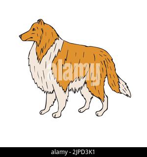 Vektor Hand gezeichnete Doodle Skizze farbigen Collie Hund Stock Vektor