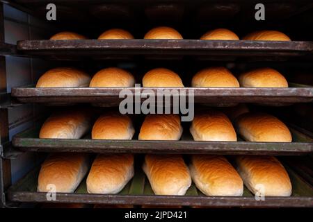 Frisch gebackene Brotlappen auf einem Regal Stockfoto