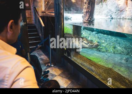 Blick auf Menschen, die ein großes, dösendes Salzwasser-Krokodil im Unterwasser-Zoo im Dubai Aquarium in Dubai, VAE, beobachten Stockfoto