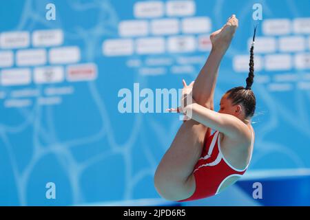 Rom, Italien, 16.. August 2022. Laura Valore aus Dänemark tritt am sechsten Tag der Schwimmeuropameisterschaft im Foro Italico Park in Rom, Italien, im Spring Board Preliminary der Frauen 1m an. 16. August 2022. Kredit: Nikola Krstic/Alamy Stockfoto