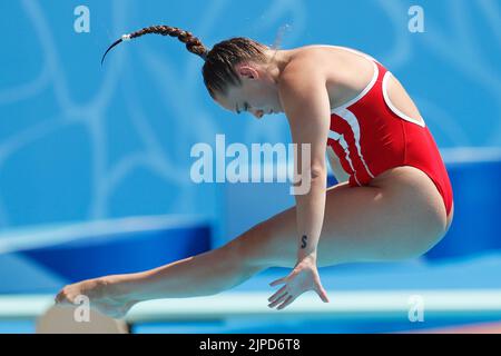 Rom, Italien, 16.. August 2022. Laura Valore aus Dänemark tritt am sechsten Tag der Schwimmeuropameisterschaft im Foro Italico Park in Rom, Italien, im Spring Board Preliminary der Frauen 1m an. 16. August 2022. Kredit: Nikola Krstic/Alamy Stockfoto