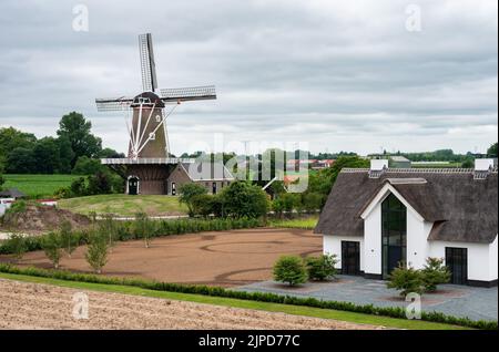 Dodewaard, Gelderland, Niederlande - 07 12 2022 - Landschaftsansicht über Ackerland und eine alte Windmühle Stockfoto