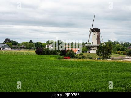 Dodewaard, Gelderland, Niederlande - 07 12 2022 - Landschaftsansicht über Ackerland und eine alte Windmühle Stockfoto