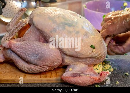 Ein Bio-Truthahn, der für das Weihnachtsessen vorbereitet wird, Sussex, Großbritannien Stockfoto