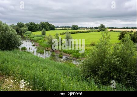 Blick über die natürliche Aue mit Landwirtschaftsfeld und Feuchtgebiet rund um Ochten, Niederlande Stockfoto