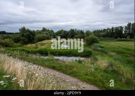 Blick über die natürliche Aue mit Landwirtschaftsfeld und Feuchtgebiet rund um Ochten, Niederlande Stockfoto