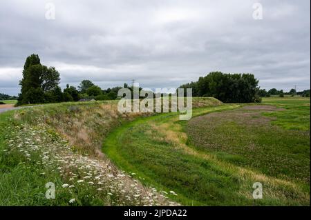 Blick über die natürliche Aue mit Landwirtschaftsfeld und Feuchtgebiet rund um Ochten, Niederlande Stockfoto