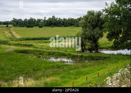Blick über die natürliche Aue mit Landwirtschaftsfeld und Feuchtgebiet rund um Ochten, Niederlande Stockfoto