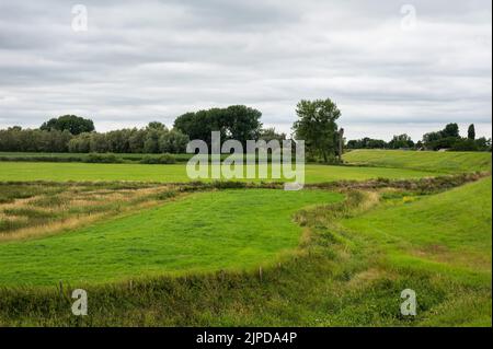 Grüne Hügel und Wiesen an den Feuchtgebieten in der natürlichen Überschwemmungszone um Passewaaij, Niederlande Stockfoto