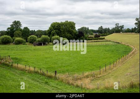 Grüne Hügel und Wiesen an den Feuchtgebieten in der natürlichen Überschwemmungszone um Passewaaij, Niederlande Stockfoto