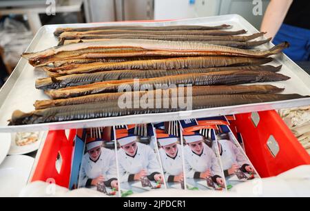 Maasholm, Deutschland. 17. August 2022. Frisch geräucherter Aal liegt auf einem Tablett im Hafen von Maasholm während der '13. Aalutsetten in de Schlie'. Rund 108.000 junge Aale ließ der Schleifischer am Mittwoch während der traditionellen 13. Aalutsetten in die Schlei. Quelle: Christian Charisius/dpa/Alamy Live News Stockfoto