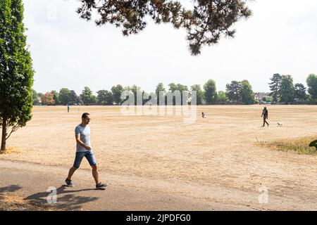 Wimbledon London, Großbritannien. 17 August 2022 . Menschen, die auf dem ausgetrocknten Gras auf dem Dundonald Erholungsgebiet in Wimbledon im Südwesten Londons spazieren, sterben an einem Mangel an Niederschlägen und dem lang anhaltenden heißen Wetter im Juli und August. Kredit. amer Ghazzal/Alamy Live Nachrichten Stockfoto