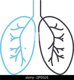 Lungs-Liniensymbol, Umrisssymbol, Vektordarstellung, Konzeptzeichen Stock Vektor