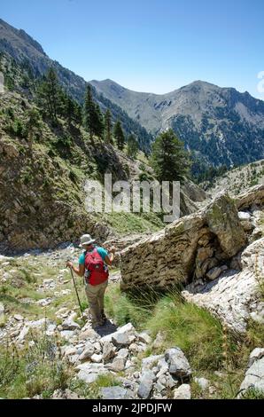 Wandern im Taygetos-Gebirge, in der Nähe des Musgia-Passes, unterhalb des Profitis Ilias-Gebirges, südlicher Peloponnes, Griechenland. Stockfoto