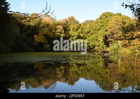 Teich im Kilkenny Castle Park, Kilkenny, Irland Stockfoto