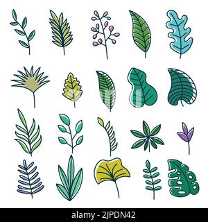 Blumen Natur Elemente Dekoration Vektor Illustration Stock Vektor