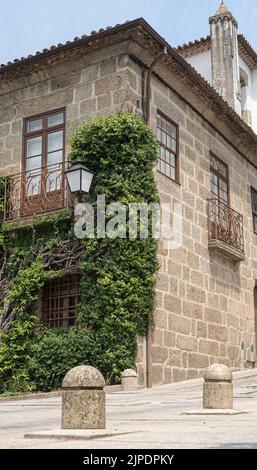 Der Baum umhüllte das alte Schloss in Guimaraes, Portugal Stockfoto