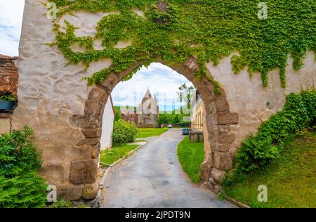 Das Rosa-Coeli-Kloster. Alte katholische Ruine des Frauenklosters in der Nähe der Stadt Dolni Kounice. Religion gotischer Ort mit spiritueller Geschichte aus gebaut Stockfoto