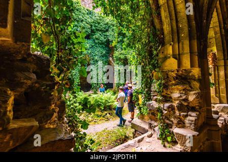 Dolni Kounice, Tschechische Republik - 6,7.2020: Touristen besuchen das Kloster Rosa Coeli. Das alte ruinierte Frauenkloster ist im gotischen Stil erbaut. Stockfoto