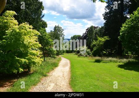 Batsford Arboretum, Moreton-in-Marsh, Cotswolds, Gloucestershire, Großbritannien Stockfoto
