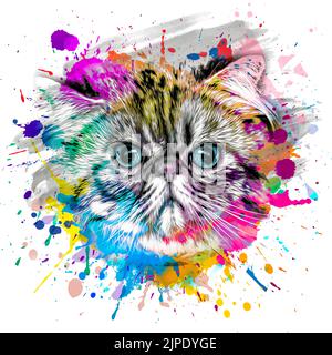 Abstrakte bunte Katze Schnauze Illustration, Grafik Design Concept Art Stockfoto