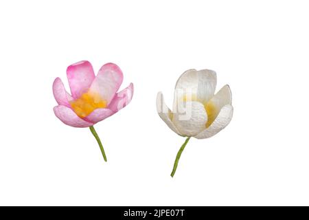 Gefälschte Blumen aus Papier und Stoff. Einrichtung für Hochzeiten und Beerdigungen. Stockfoto