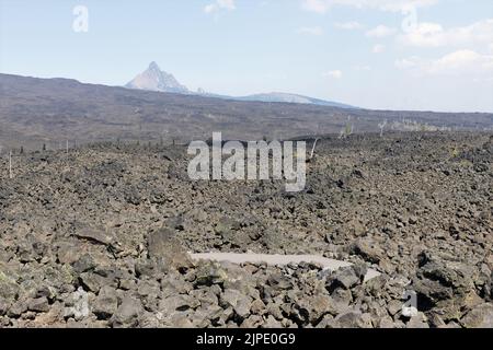 Felsiges Gelände aus dem Lavastrom auf dem Gipfel des McKenzie-Passes in den Cascade Mountains in Oregon, USA. Stockfoto