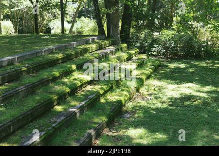 Das Foto war Takenin Karuizawa im Sommer. Es zeigt einen Parkweg bedeckt mit Moos und Treppen. Das Wetter war gut Stockfoto