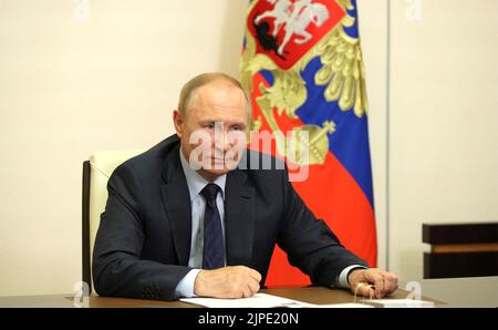 Novo-Ogaryowo, Russland. 17. August 2022. Der russische Präsident Wladimir Putin veranstaltet ein virtuelles Treffen mit dem amtierenden Gouverneur der Region Wladimir, Alexander Avdejew, aus dem offiziellen Wohnsitz von Novo-Ogaryovo, 17. August 2022 in der Nähe von Moskau, Russland. Quelle: Mikhail Klimentyev/Kremlin Pool/Alamy Live News Stockfoto