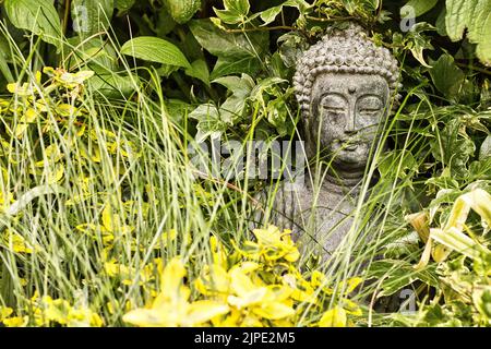 Eine Nahaufnahme einer kleinen Buddha-Statue, die im grünen Laub versteckt ist Stockfoto
