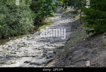 Ofterdingen, Deutschland. 17. August 2022. Das Bett des Steinlachs in Ofterdingen ist fast ausgetrocknet. Baden-Württembergs Ministerpräsident Kretschmann wirft bei einem Tagesausflug einen Blick auf die Lage auf dem Steinlach. Quelle: Bernd Weißbrod/dpa/Alamy Live News Stockfoto