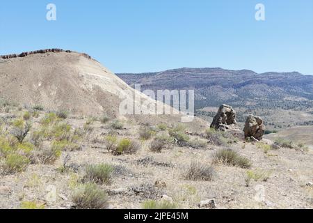 Blick vom Carroll Rim Trail auf Painted Hills am John Day Fossil Beds National Monument im Osten von Oregon, USA. Stockfoto