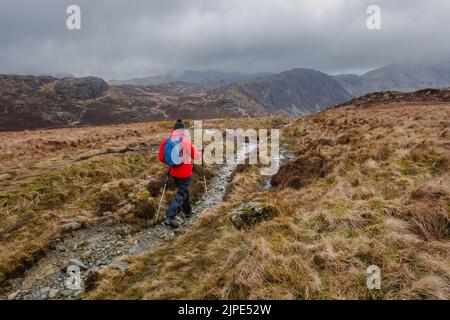 Person mit wasserdichter Ausrüstung und einem Rucksack von Fleetwith Pike in Richtung Haystacks und High Crag, Lake District National Park, Cumbria, England, Stockfoto