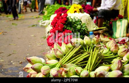 Lotus und Rote Rosen werden in einer Reihe zum Verkauf in Howrah Flower Market, Kolkata Flower Market, Mullick Ghat gehalten Stockfoto