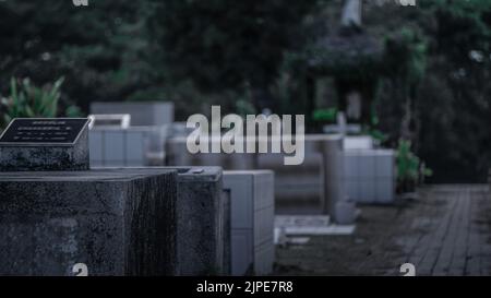 Schöne und dramatische Fotos vom Friedhof von Liberia in Guanacaste, Costa Rica. Stockfoto