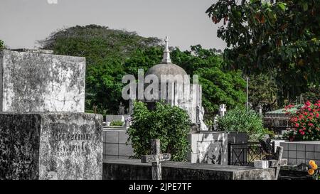 Schöne und dramatische Fotos vom Friedhof von Liberia in Guanacaste, Costa Rica. Stockfoto