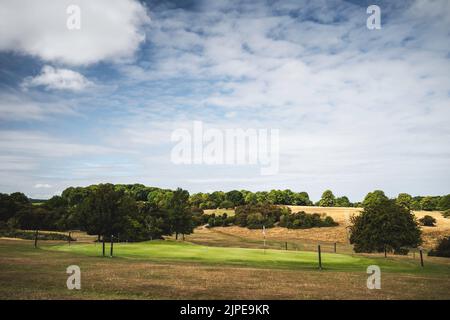 Golfplatz bedeckt mit trockenem Grasland mit grünem Gras über dem Loch von Bewässerung während extremer Hitzewelle alles unter blauem Himmel im Sommer in Beverley, Großbritannien. Stockfoto